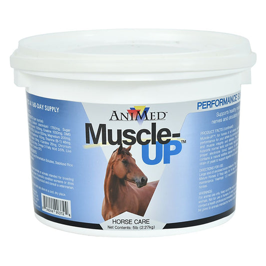 Muscle-UP Horse Supplement