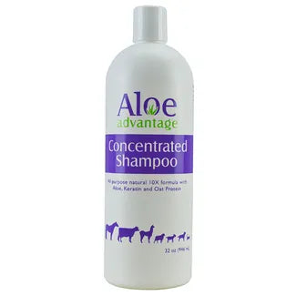 Aloe Advantage Concentrated Shampoo