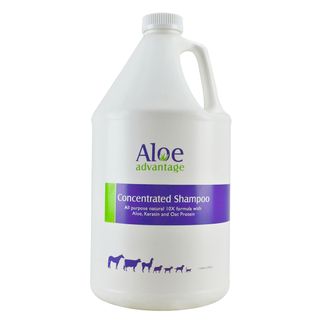 Aloe Advantage Shampoo