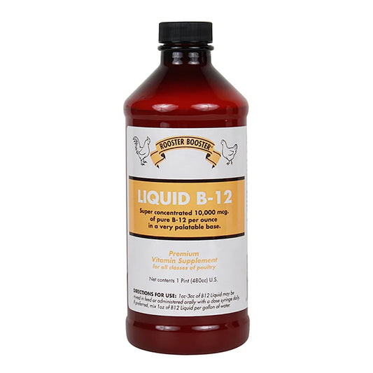 Liquid B-12 Supplement 16oz