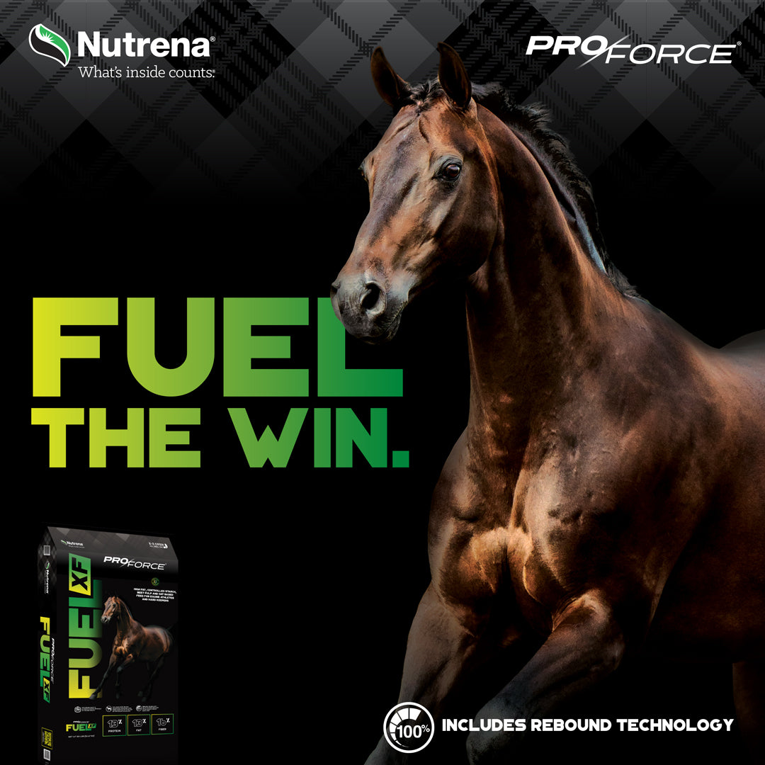 Proforce Fuel XF
