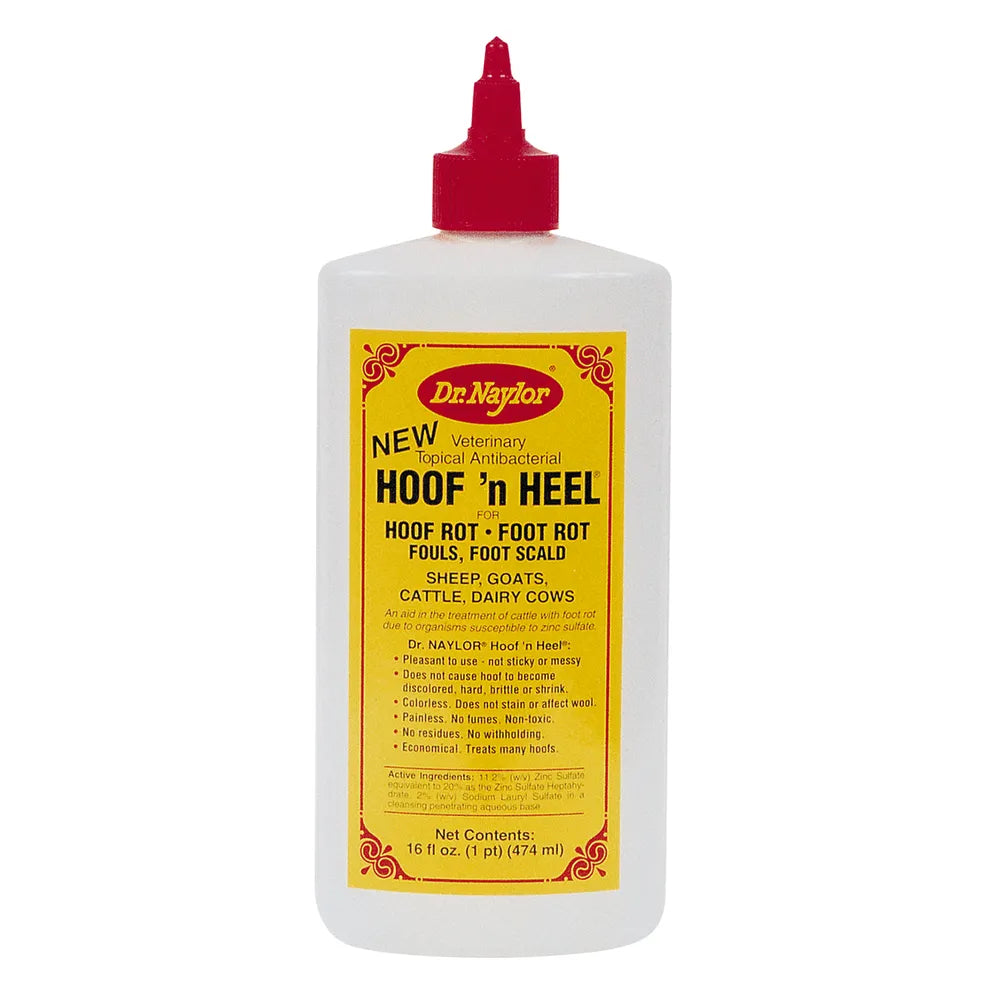 Dr. Naylor Hoof 'N Heel