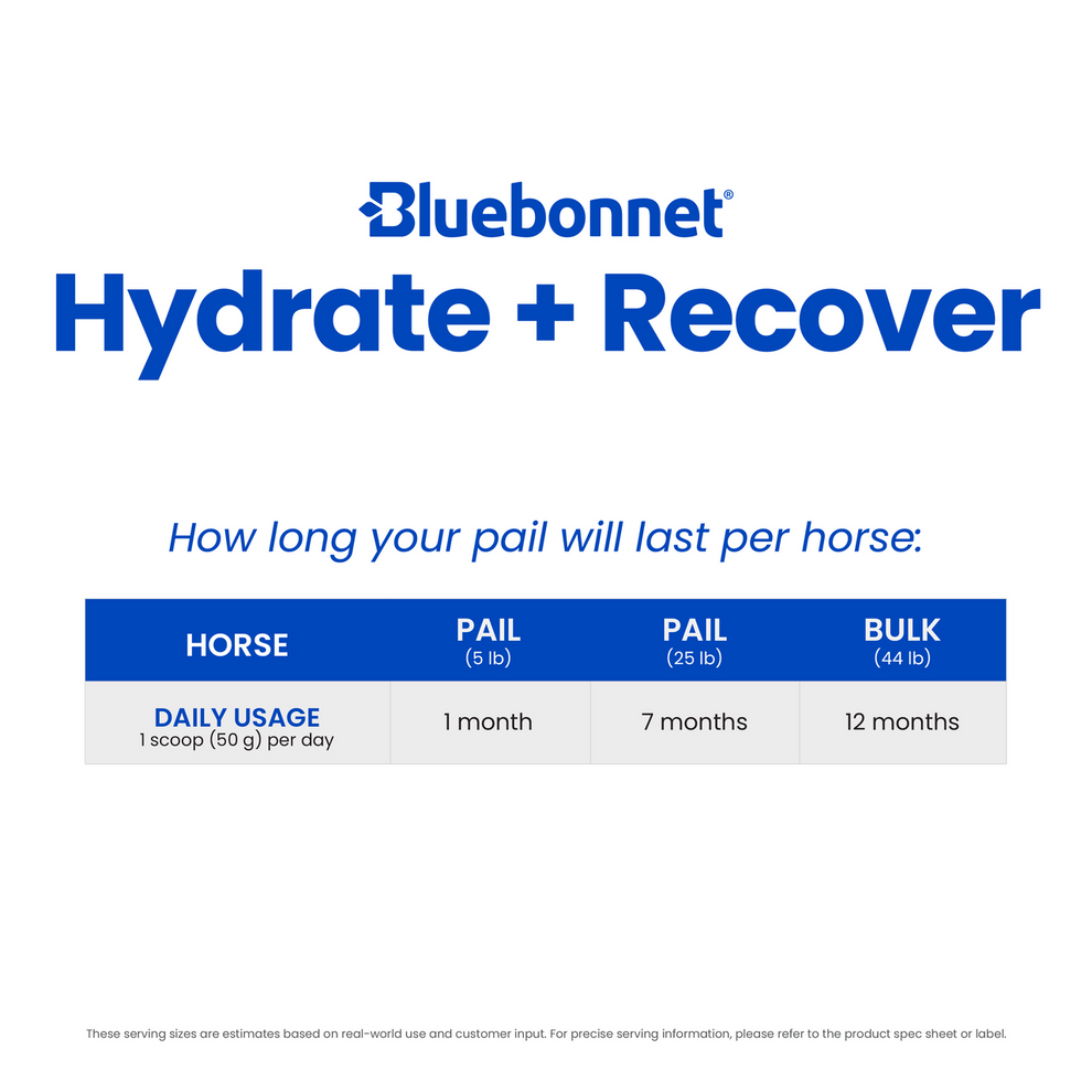 Hydrate + Recover™ (Turbo Mag BCAA)