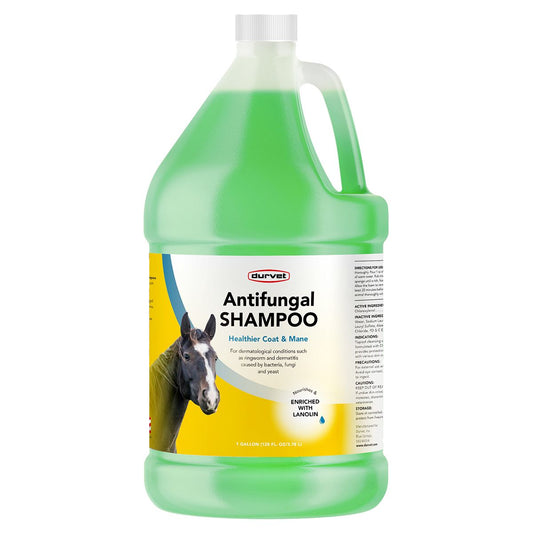 Antifungal Shampoo for Horses gallon