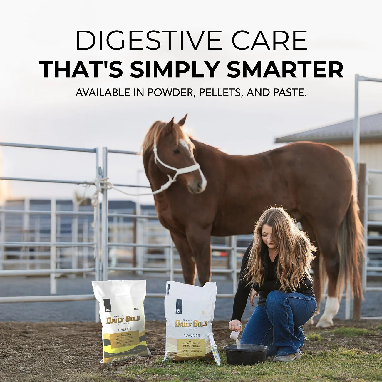 Daily Gold® Paste - Digestive Stress Relief For Horses 70cc