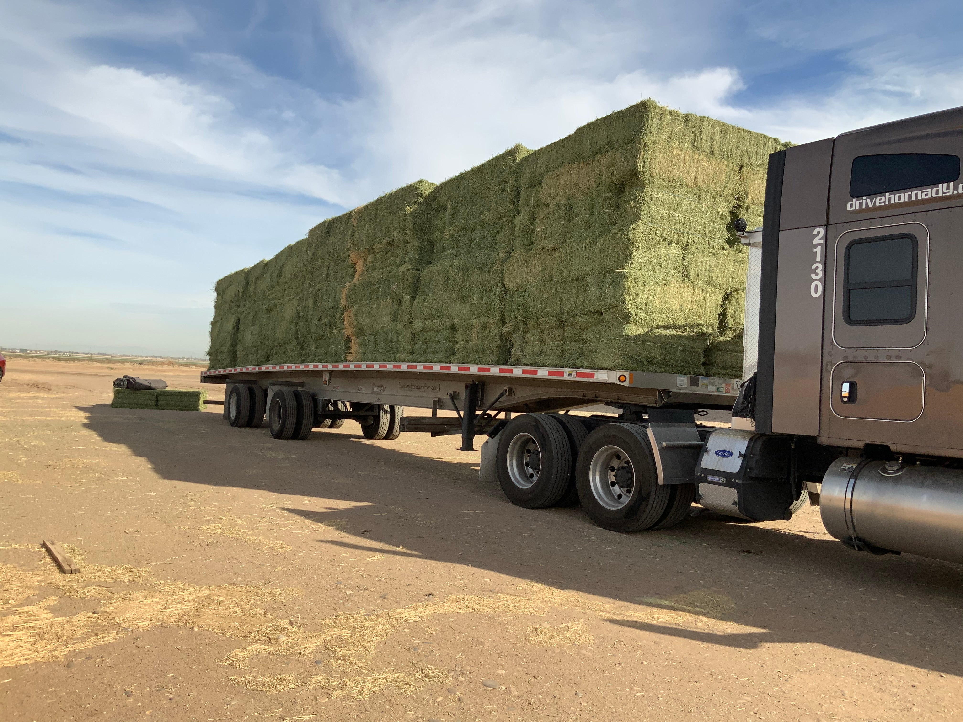 Semi loads Available! – Hymer Feed Company