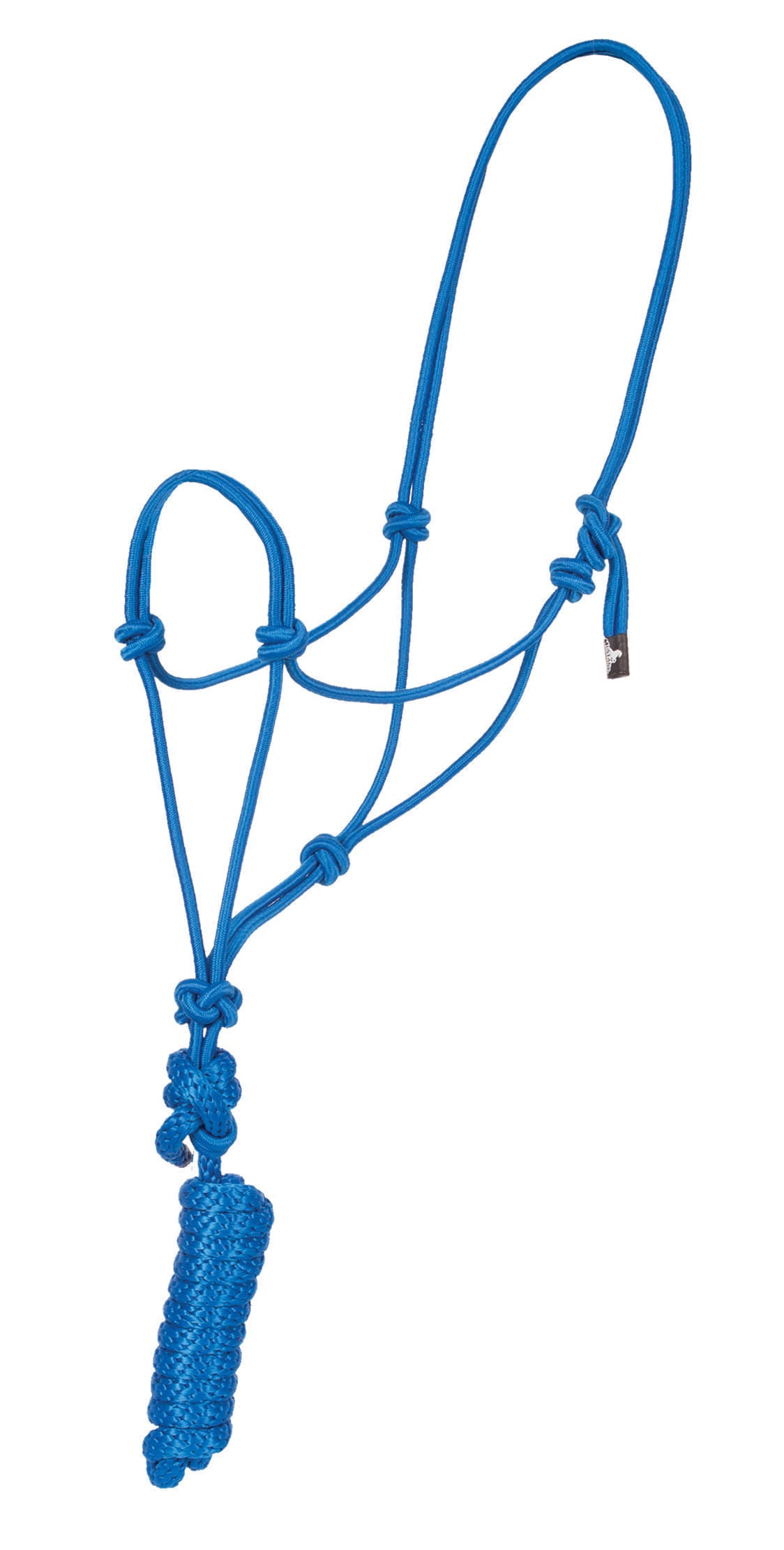 Assorted Rope Halters with Lead