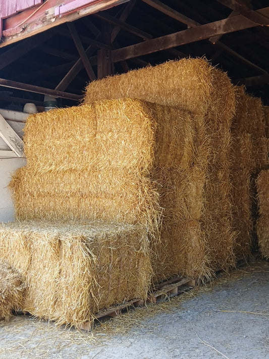 3x4 Straw