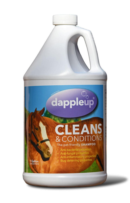 Gallon Dapple Up Equine