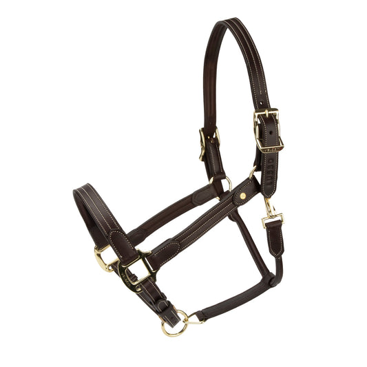 Velociti Lusso Girona Leather Headcollar- 4252