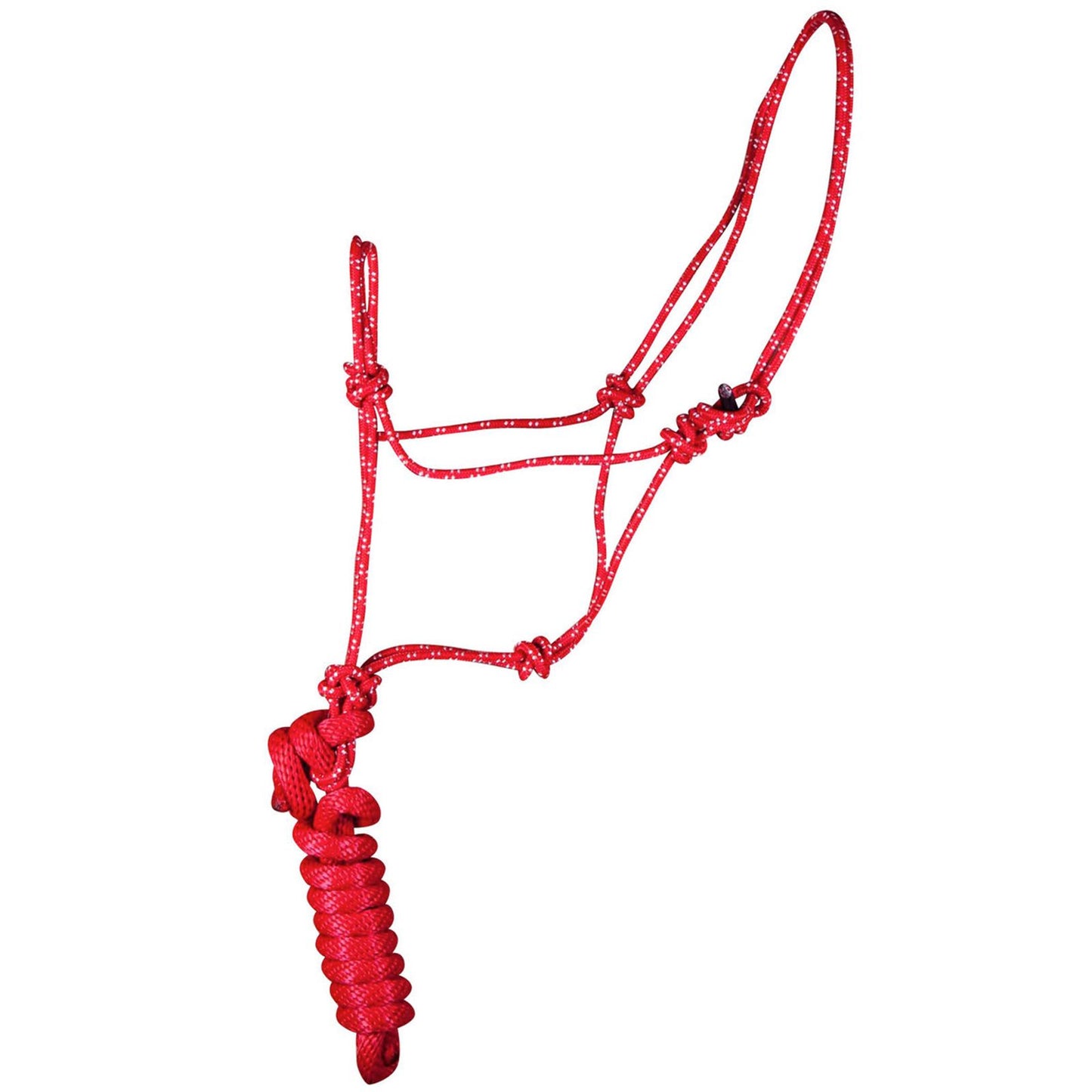 Assorted Rope Halters with Lead