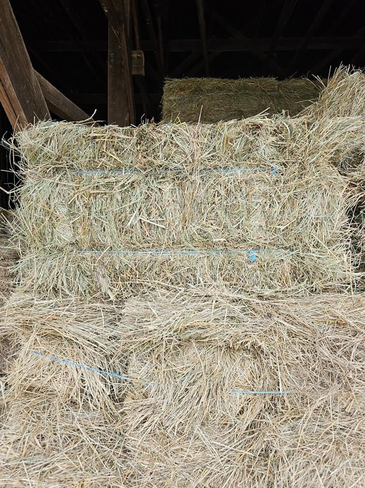 aa Ky Prairie Grass hay
