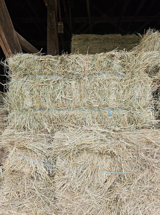 aa Ky Prairie Grass hay