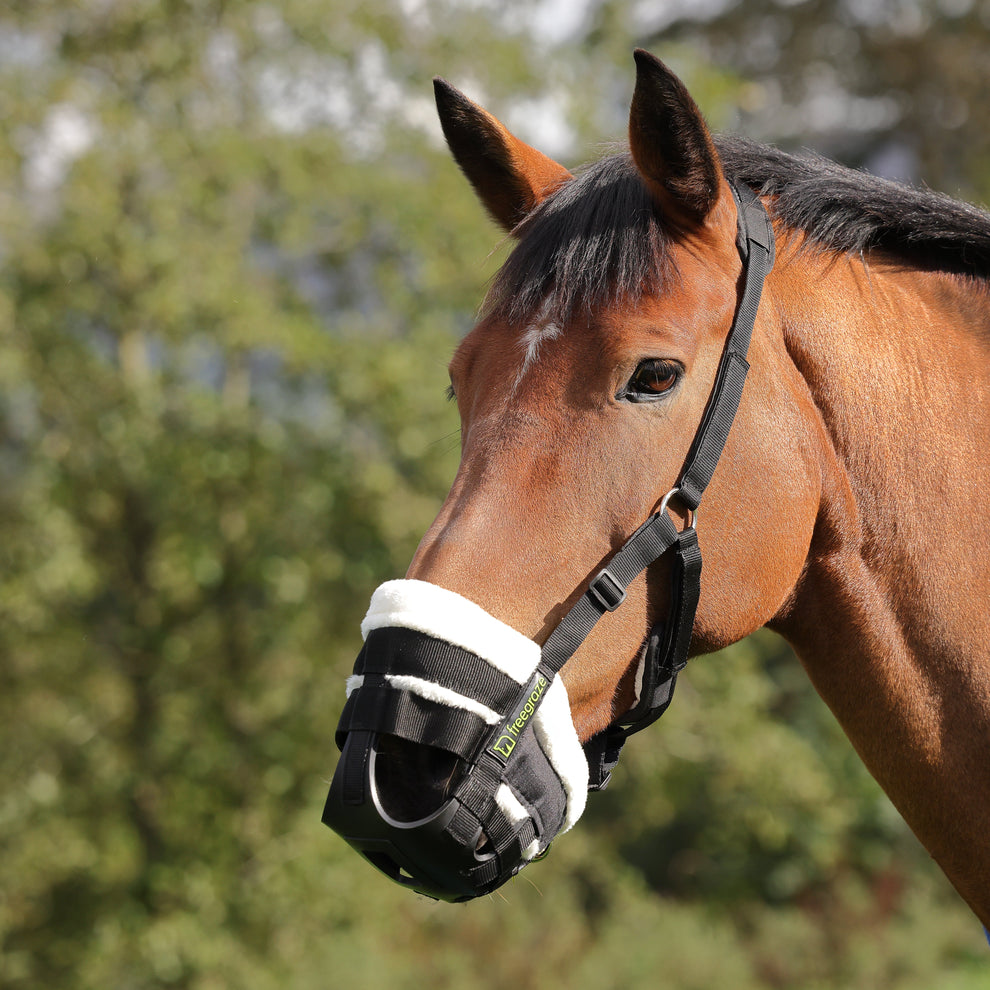 Shires FreeGraze Deluxe Comfort Grazing Muzzle