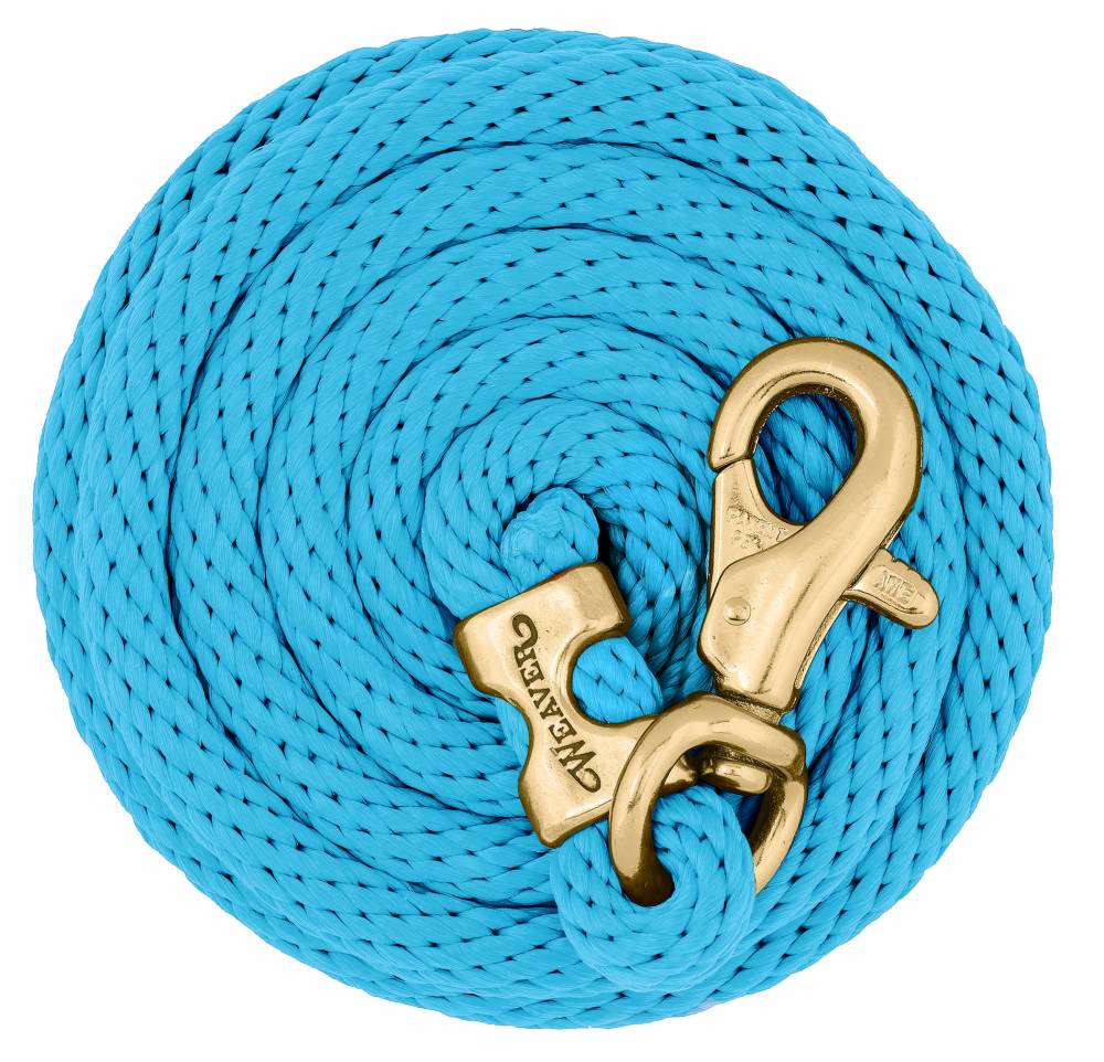 Weaver 10 Ft Nylon Lead