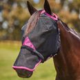 Weatherbeeta Comfitec Deluxe Durable Mesh Mask w/Nose - Warm Blood