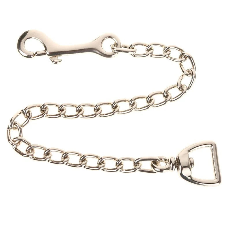 Tough 1 Chrome-Plated 20" Lead Chain