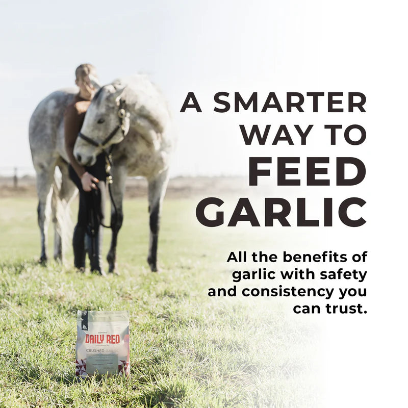 Daily Red® Crushed™ Garlic - Mineral Supplement For Horses 5lbs