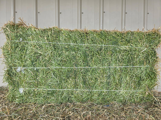 Premium Alfalfa 3 String