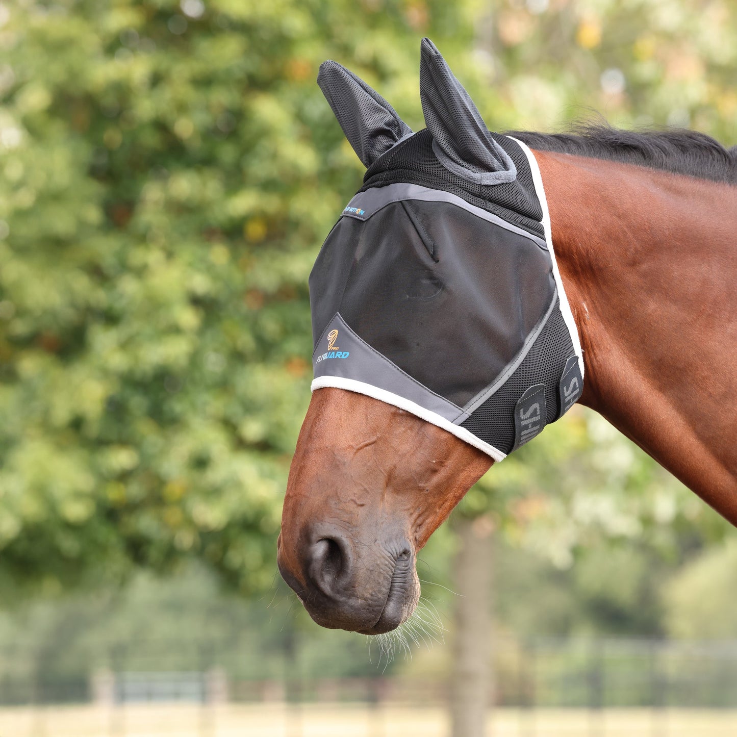 FlyGuard Pro Air Motion Fly Mask with Ears - Cob