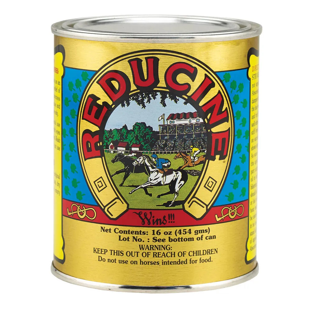 Reducine Absorbent for Horses 16oz