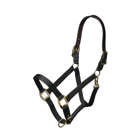 90027  Nylon Halter With Leather Head Strap- Black