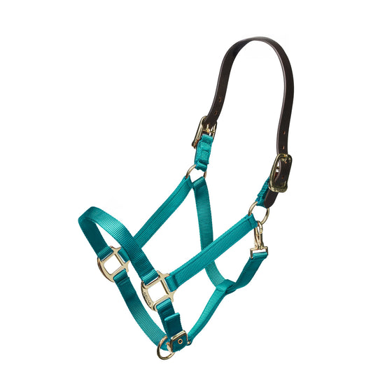 90027  Nylon Halter With Leather Head Strap TEAL