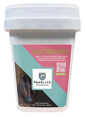 Pro Elite GutBiome Supplement