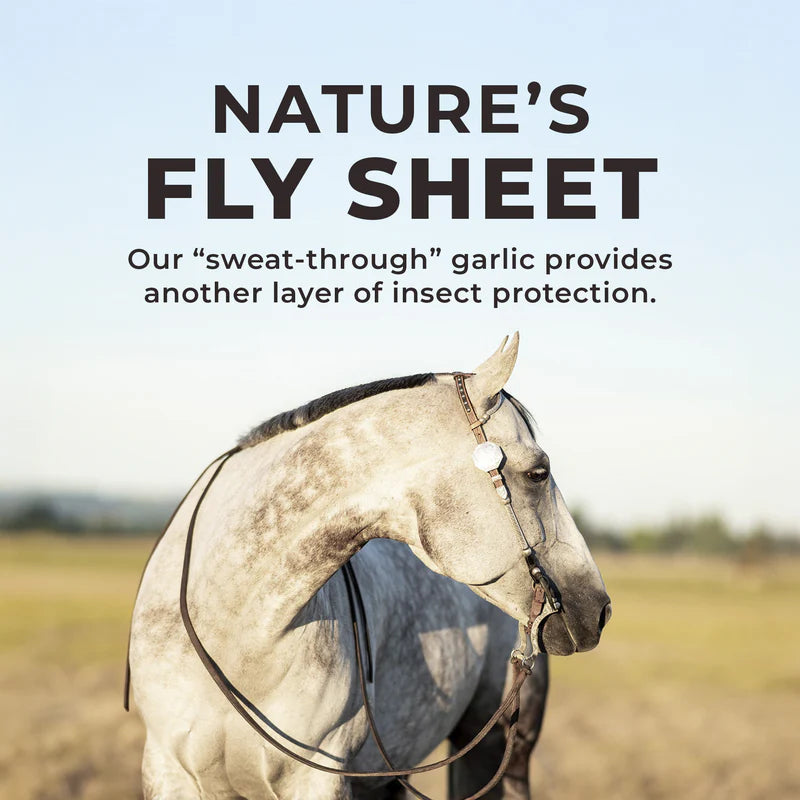 Daily Red® Crushed™ Garlic - Mineral Supplement For Horses 5lbs