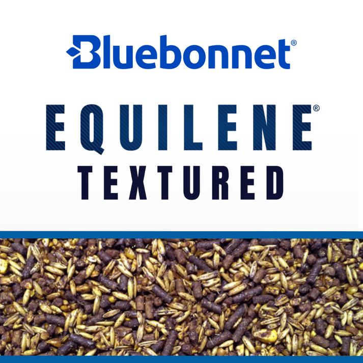 Blue Bonnet Equilene® Textured