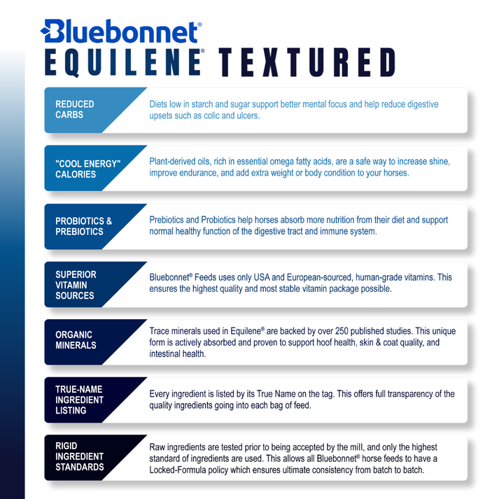 Blue Bonnet Equilene® Textured