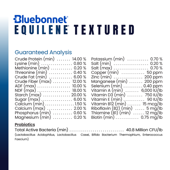 Blue Bonnet Equilene® Textured