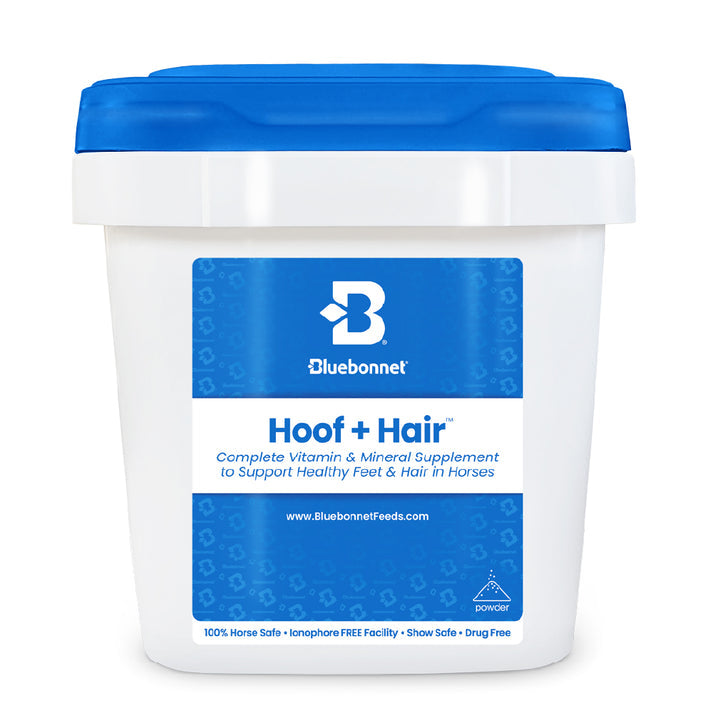 Blue Bonnet Hoof+ hair