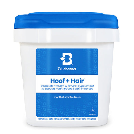 Blue Bonnet Hoof+ hair