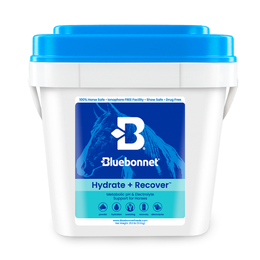 Hydrate + Recover™ (Turbo Mag BCAA) 25lbs