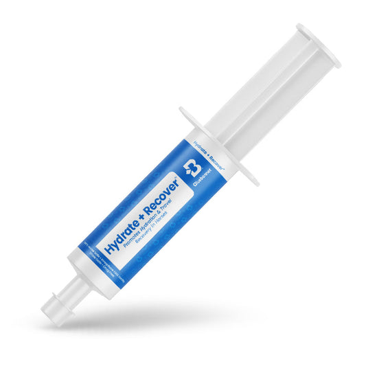 Hydrate + Recover™ Paste (Travel Paste™)