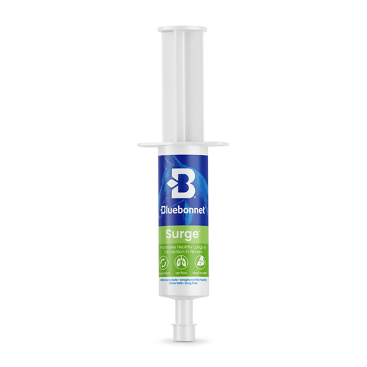 Blue Bonnet Surge paste