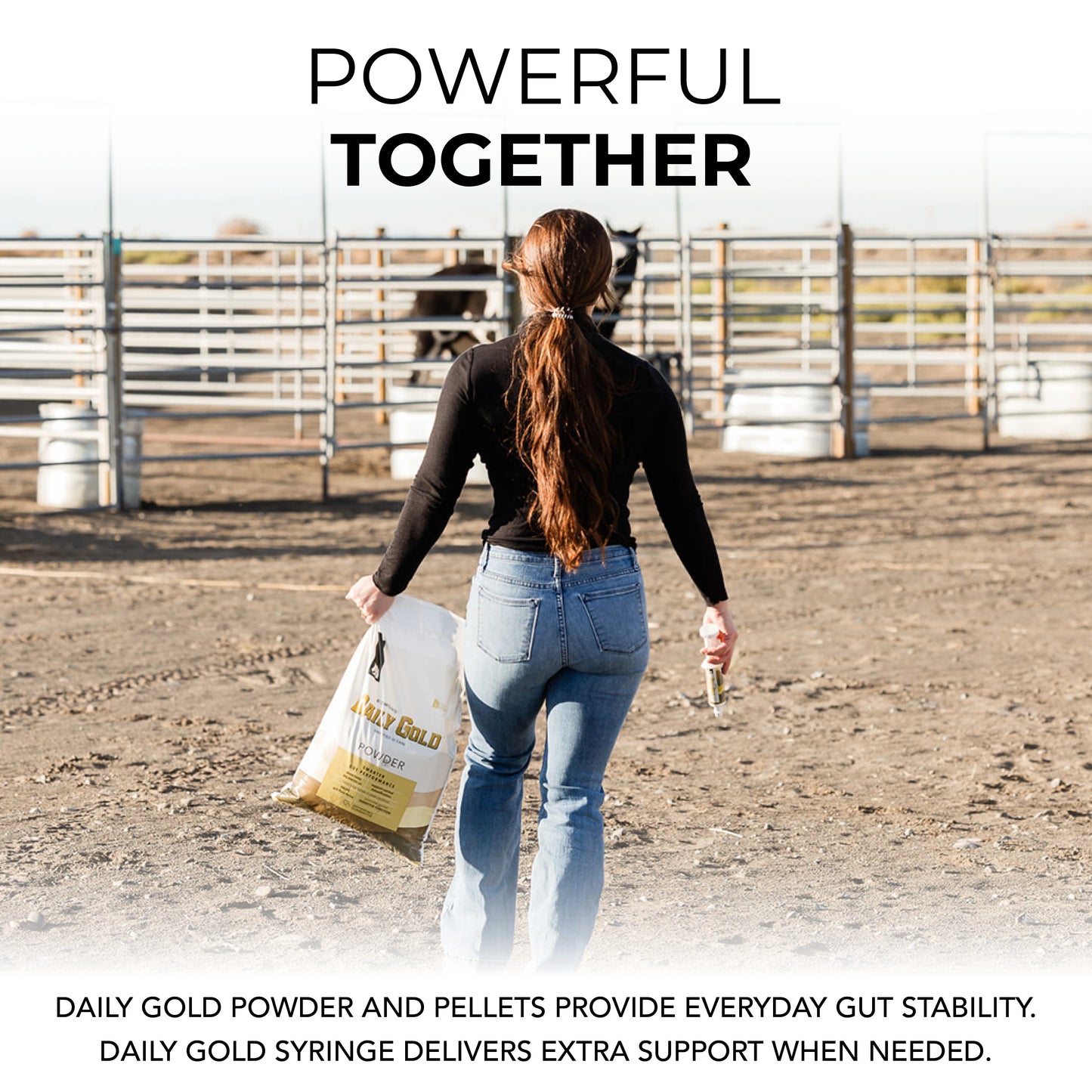 Daily Gold® Paste - Digestive Stress Relief For Horses 70cc