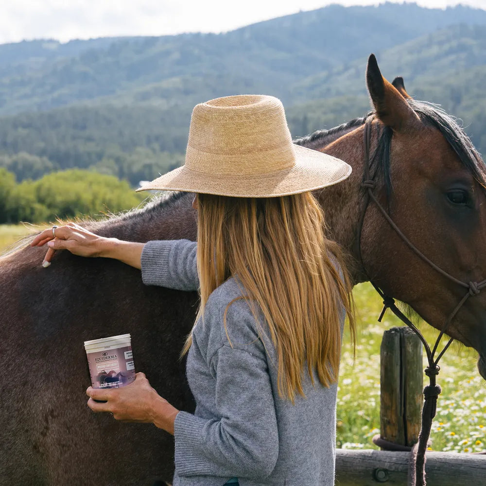 Equiderma Wound Ointment for Horses 16oz