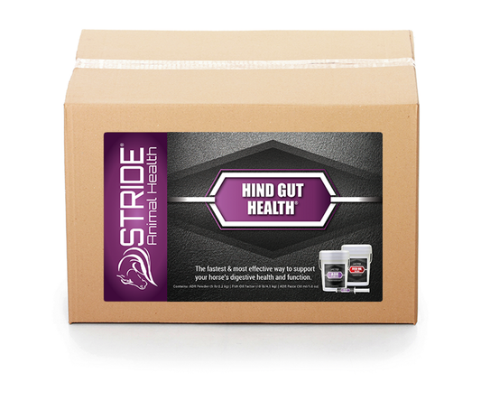 Bluebonnet Hind Gut Health Program