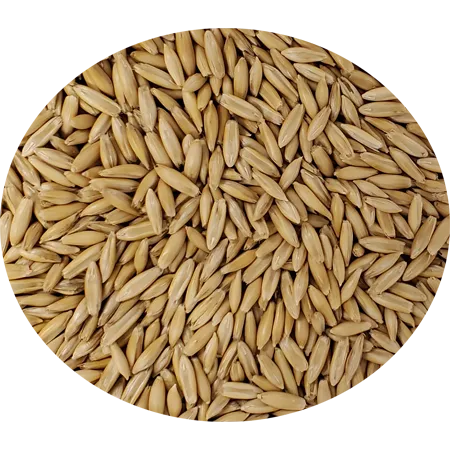 Race Horse Whole Oats
