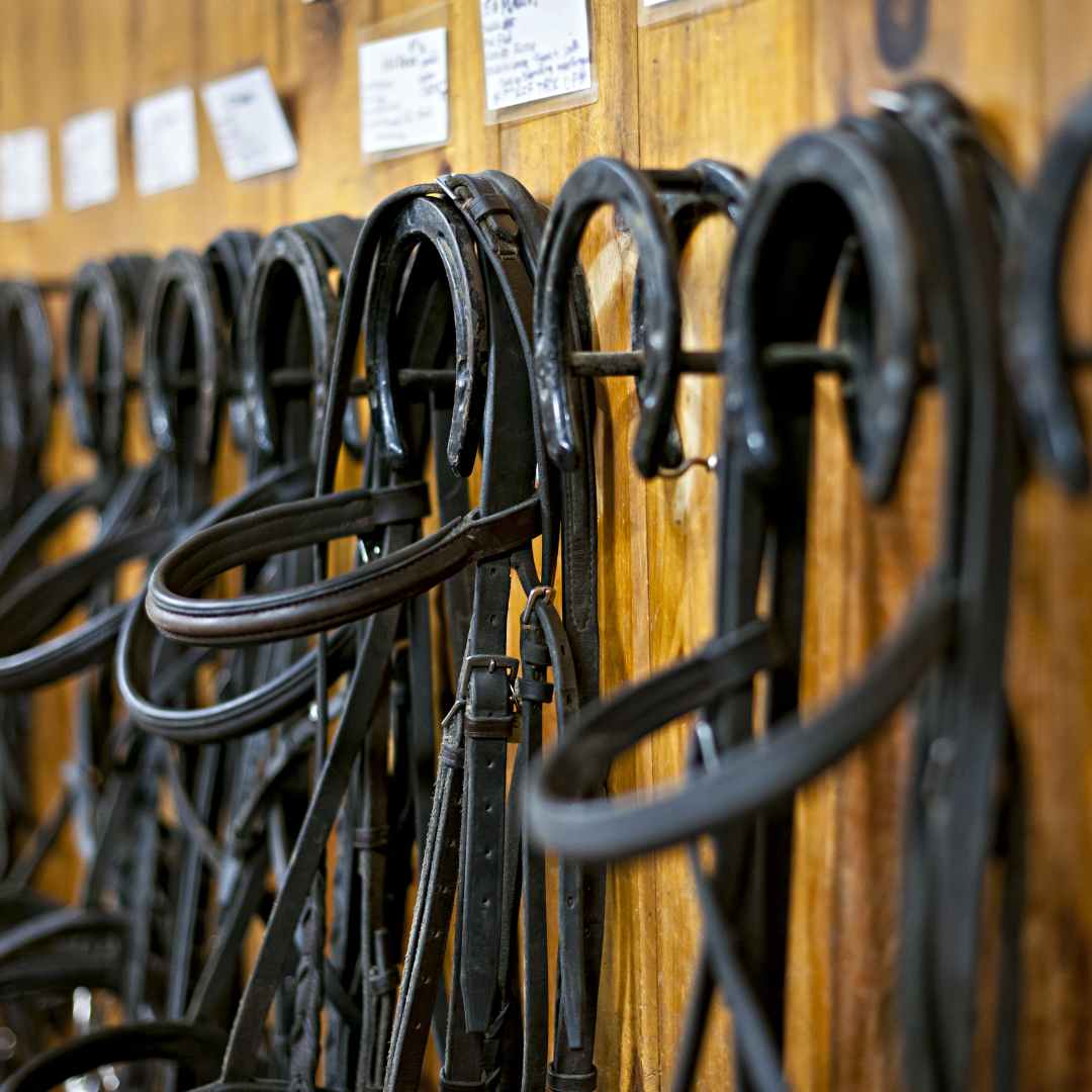 Halter, Lead Ropes, etc.