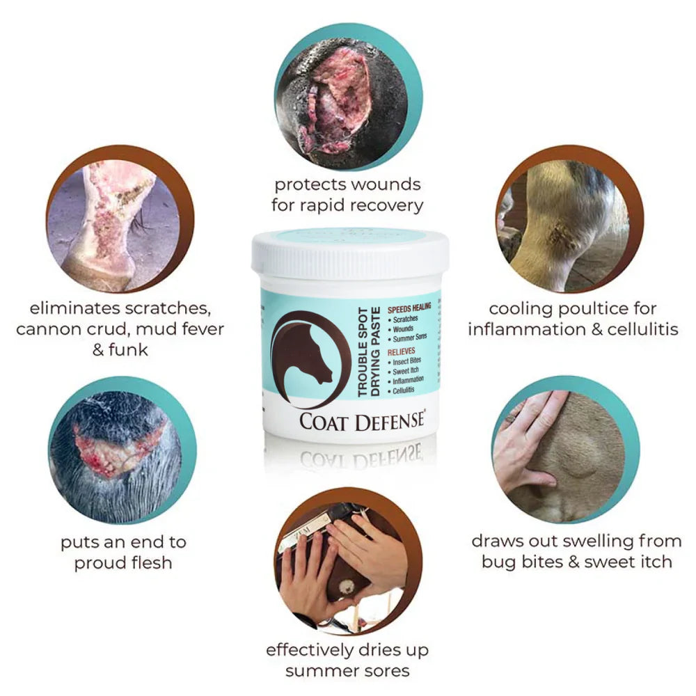 Coat Defense Trouble Spot Drying Paste 24oz