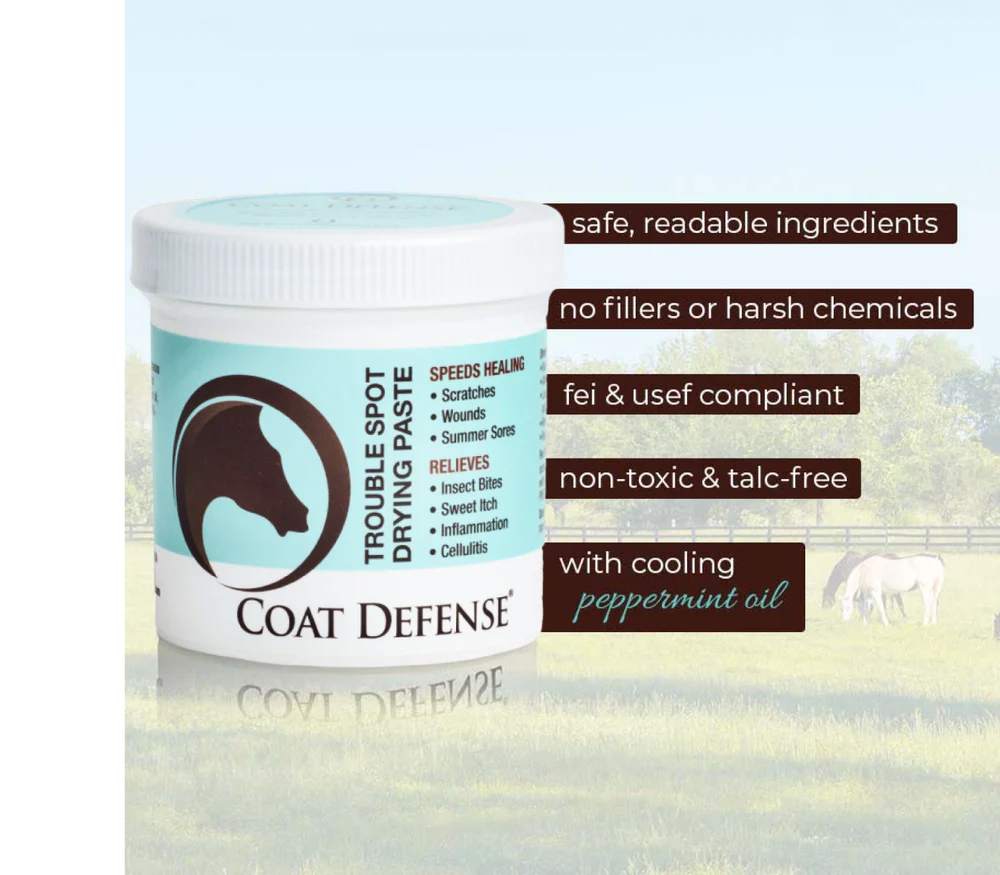 Coat Defense Trouble Spot Drying Paste 24oz