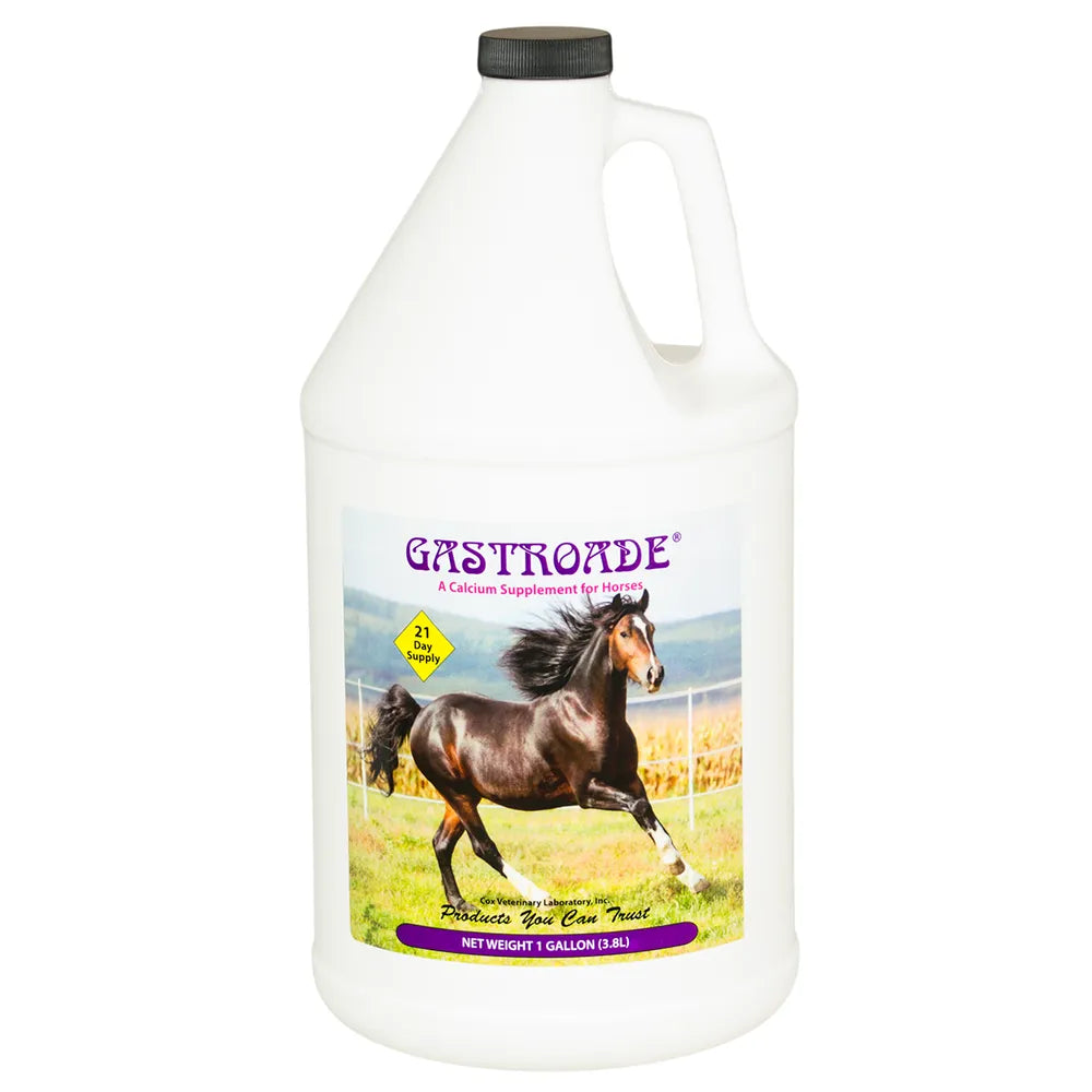 Gastroade Calcium Supplement