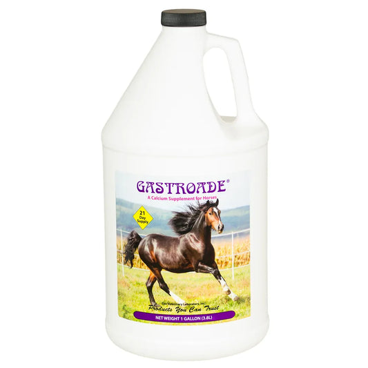 Gastroade Calcium Supplement