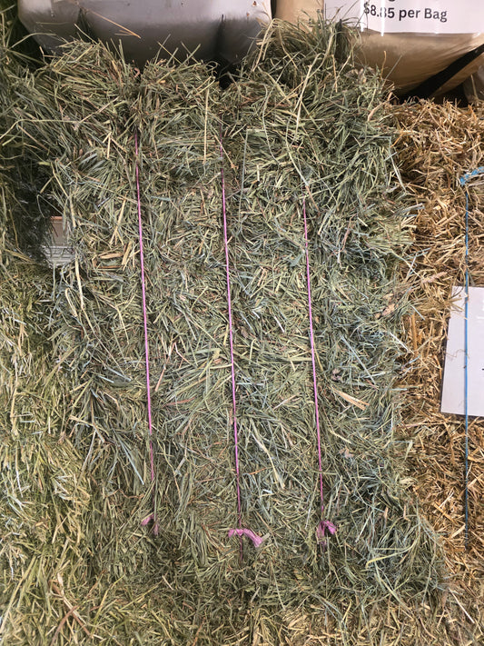 Premium Orchard Grass 2 String