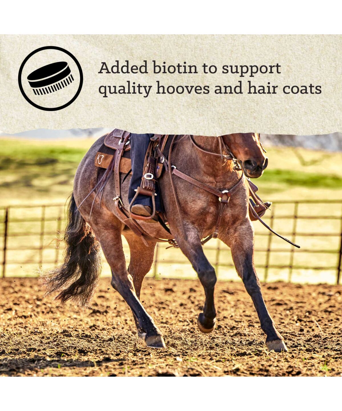 Nutrena Triumph Professional Pellet