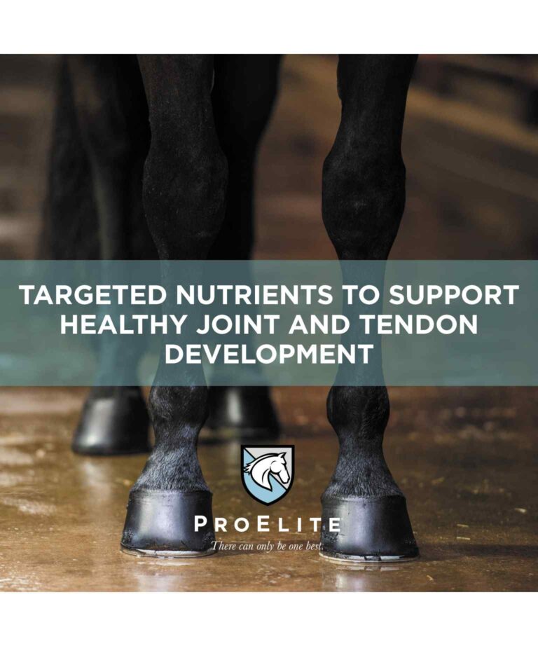 ProElite Rejuvenaide® Max Pellets