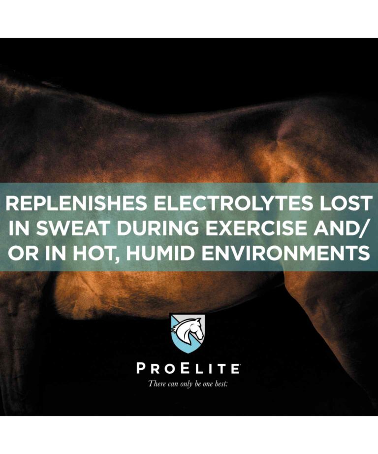 ProElite Sweat Electrolytes
